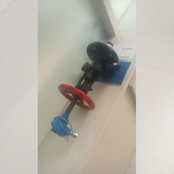 带测温放料阀